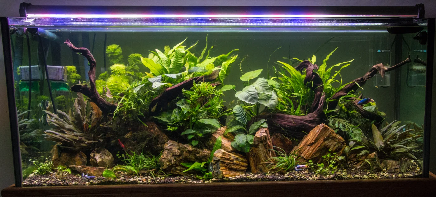 Liquid co2 deals aquarium